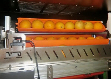 オレンジAppleのためのブラック・マーケットのフルーツ ジュースの自動販売機800W